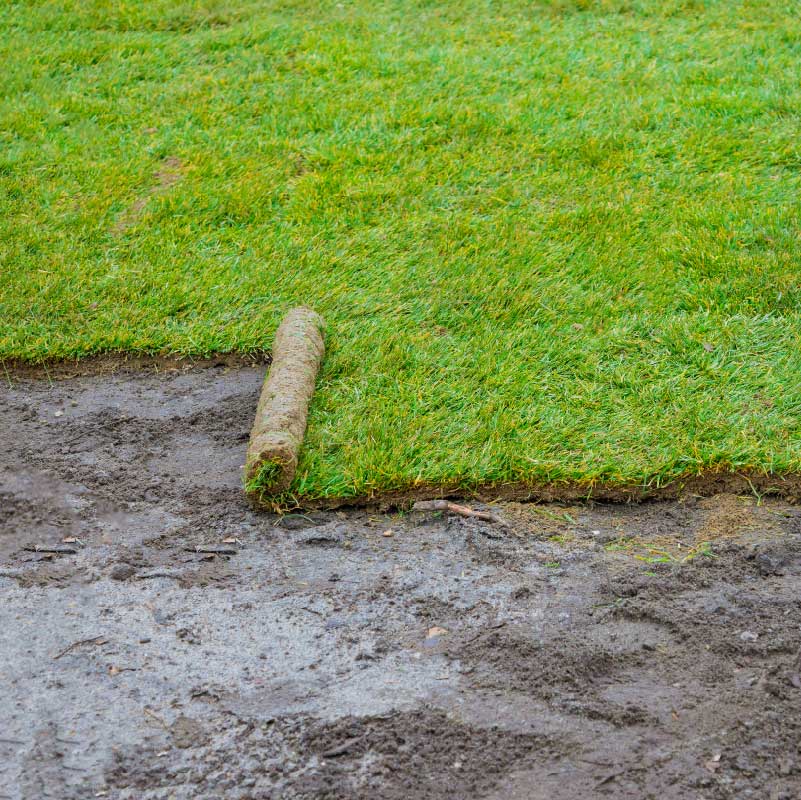 instalación de prado